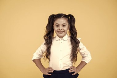 Eğitim programı. Evde eğitim veya normal okul ziyaret. Çalışmanın verimliliği. Çok sevimli bir kız öğrenci. Duygusal ifade kız öğrenci. Schoolgirl öğrenci uzun saç sevimli at kuyruğu saç modeli