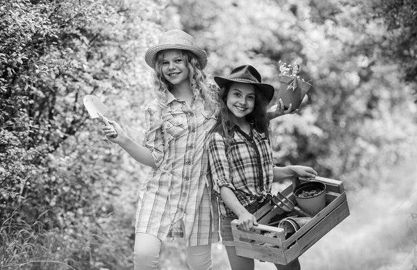 채소를 심는 일. 여름 활동. 귀여운 여동생들 이 농장 일을 돕고 있어. 농업 개념. 소녀들은 식물을 심습니다. 정원을 가꾸고 물을 주고. 정원에서 일하는 쾌활 한 아이들. 채소 재배 — 스톡 사진