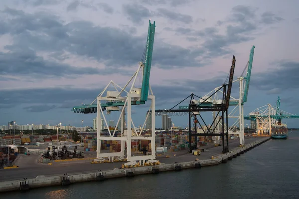 Miami, USA - 2016. március 01.: daruk a teherkikötőben a felhős esti égbolton. Teherdaruk a tengeri kikötőben. Gantry daruk a móló oldalán. Szállítás. Rakomány betöltve. Szállítás — Stock Fotó