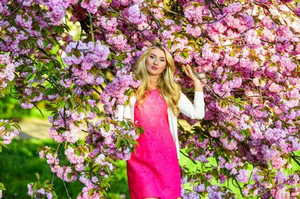 É um prazer. modelo de moda em flor de sakura japonesa. Menina bonita na flor da primavera. beleza de verão e moda. Senhora sexy no parque. Mulher de primavera em flor de cereja flor. flor rosa menina — Fotografia de Stock