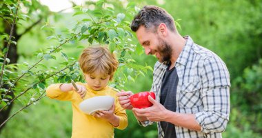 Oğul ve baba sütlü yulaf lapası yiyor. çocukluk mutluluğu. Bebek maması. Sağlıklı yemek ve diyet. Süt ürünleri. Babalar günün kutlu olsun. Babasıyla küçük çocuk kahvaltı yapıyor. Mutlu bir aile. Sağlıklı bir hayat