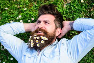 Barışçıl yüzlü hippi çimlerin üzerinde uzanıyor. Uzun sakallı ve bıyıklı bir adam, yeşil çayır arka planında çözünmüş. İlkbahar konsepti. Adam papatya ya da sakallı papatya çiçekleri ile güzel görünüyor..