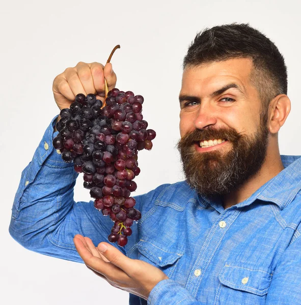 Weinbau und Gartenbaukonzept. Winzer mit kniffligem Lächeln — Stockfoto