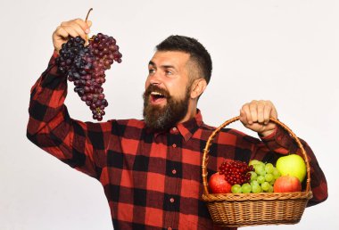 Sakallı adam elinde meyve ve mor üzümlü sepet tutuyor.