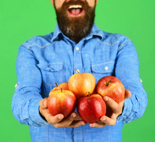 El tipo presenta cosecha casera. Hombre con barba sostiene manzanas rojas — Foto de Stock