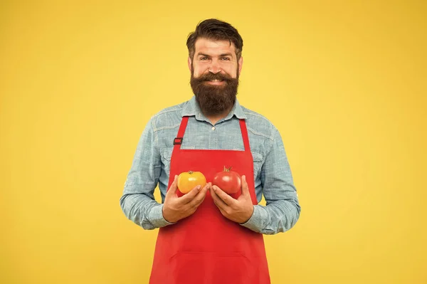 Cooking fresh salad. healthy food cooking. organic food diet. health benefits of tomato. dietary source of vitamins. brutal cook in apron. vegetable eating tips. bearded man chef with tomato — 스톡 사진