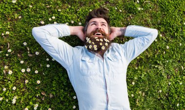 Gülümseyen yüzlü hippi, çimlerin üzerinde uzanıyor, manzaranın üstünde. Rahatlatıcı bir kavram. Sakallı ve bıyıklı adam baharın, yeşil çayır arka planının tadını çıkarıyor. Adam papatya ya da sakallı papatya çiçekleri ile güzel görünüyor..