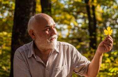 Neşeli olmaya devam et. Emekliler güneşli bir sonbahar gününde ormanda yürüyüş yapıyor. Mutlu adam sonbahar doğasının tadını çıkarır. Yaşlı sakallı adam yaprak topluyor. Sakallı büyükbaba ormanda dinleniyor. Basit şeylerdeki güzelliği gör
