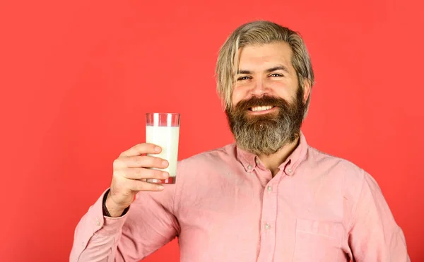 Nuttige zuivelkeuken voor botgezondheid. gelukkige boer aanwezig melkglas. Een bebaarde man drinkt nuttige melk. Melk in een kan en een kopje. reclame voor verse zuivelproducten. Drinkmelk — Stockfoto