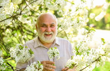 Yaz arkaplanı. Yasak Sakura Parkı. Park koronavirüs nedeniyle karantinaya alınmıştır. Sunbae, solunum maskeni çıkar. Parkta sakura çiçeği ağacı. Koronavirüs kovid 19. Bahar keyfi