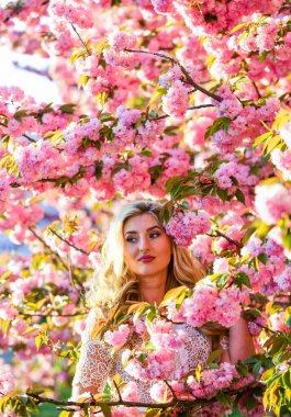 Bahar tatilinin tadını çıkarıyorum. Retro kadın pembe sakura çiçekleri kokuyor. Kaplıca ve güzellik tedavisi. yumuşak cilt bakımı. Kiraz ağacı bahçesinde sağlıklı bir kız. Klasik yaz modası. Parkta bahar doğası çiçek açar.
