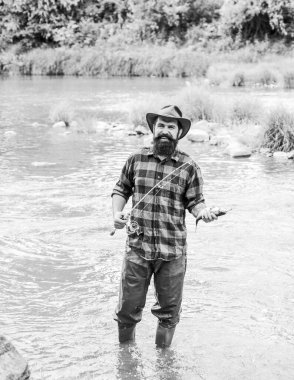 Hobilerin evi. Balıkçılar olta kullanma tekniğini gösteriyor. Yaz haftasonu. Başarılı sinek avcılığı. Sudaki sakallı balıkçı. Hobi ve spor aktiviteleri. Olgun adam balık tutuyor. Balık tutan adam.