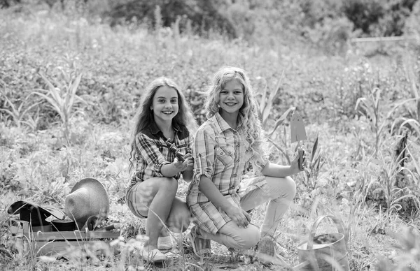 Hermanas juntas ayudando en la granja. Niñas plantando plantas. Jardín y camas. Plantación y riego. Niños rústicos trabajando en el jardín. Concepto agrícola. Cultivando verduras. Plantación de verduras — Foto de Stock