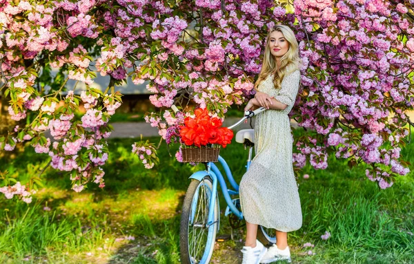 Menina vestido casual retro cruzador bicicleta sakura árvore. Férias. Conceito de turismo. Transporte e viagens. Temporada Sakura. Flora e botânica. Mulher com buquê de tulipas. Árvore Sakura florescendo — Fotografia de Stock