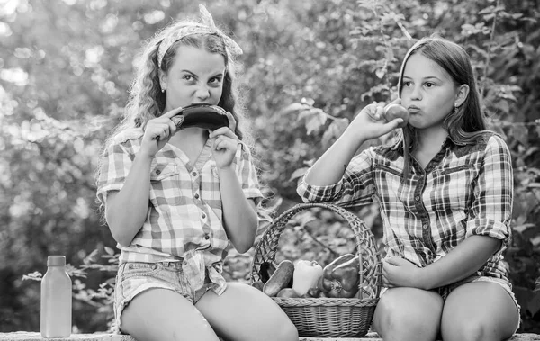 Φυσική συγκομιδή. Χαρούμενες αδερφές. Οργανική συγκομιδή. Αγροτική αγορά. Πουλάω σπιτικά φαγητά. Κορίτσια χαριτωμένα παιδιά καλλιέργεια. Τα παιδιά μαζεύουν λαχανικά στη φύση. Έννοια θερινής συγκομιδής — Φωτογραφία Αρχείου