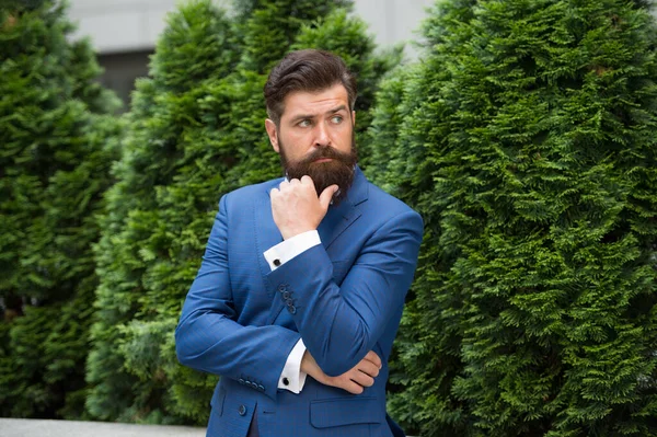 Modern formal style. successful businessman outdoors. Confident businessman. handsome mature entrepreneur. confident man standing outdoors at the city street. mature bearded man near cypress tree — Stock Photo, Image