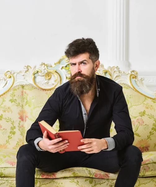 Profesor sentarse en el sofá y libro de lectura, fondo de la pared blanca. Concepto de ocio Elite. Científico, profesor de cara reflexiva disfrutar de la literatura. Hombre con barba y bigote pasa el ocio con libro —  Fotos de Stock