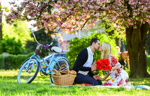 Beztroski czas razem. Wakacyjna wycieczka. Dziewczyna i mężczyzna pod sakurą. para zakochana pije wino przy kolacji w parku. Piknik zakochanych par na zabytkowym rowerze. stosunki rodzinne i przyjaźń — Zdjęcie stockowe