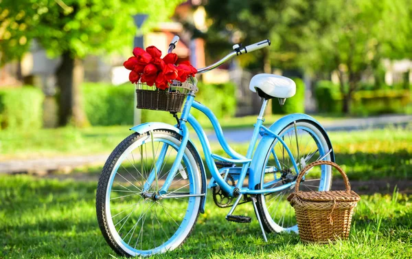 复古自行车，篮子里有郁金香花。老式自行车停在公园里。春天的花园里种满了青草。充满色彩和气味的大自然。放松和旅行。浪漫的约会。爱的季节。春天的美丽 — 图库照片