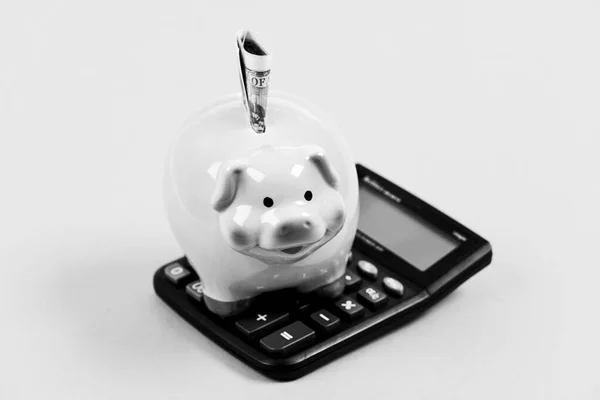 貯金だ。貯蓄預金は、貯蓄を堆積させる便利な柔軟な方法です。経済と金融。ピギーバンクピンクの豚はドル紙幣と計算機を詰めた。財政的健康。貯金口座 — ストック写真