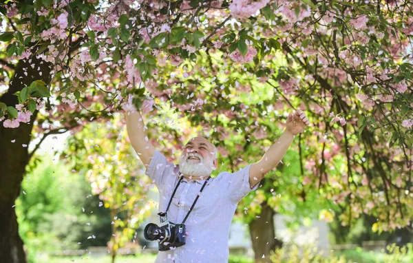 Capturing beauty life journey. Photographer in blooming garden. Sakura petals falling down. Vintage camera. Retro camera. Senior man hold professional camera. Photography courses. Happy grandfather
