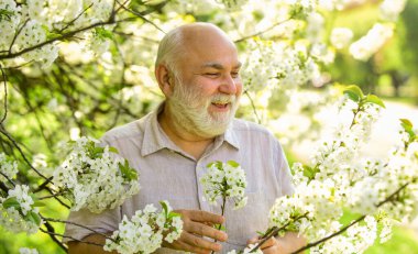 Adam koruyucu maskeyi çıkar. Koronavirüs karantinasında çiçek kokusu alıyorum. Salgın sırasında önlemlere dikkat edin. sağlıklı bir hayat. Sakura parkında maske takın. Sağlığına dikkat et. Bahar güzeli