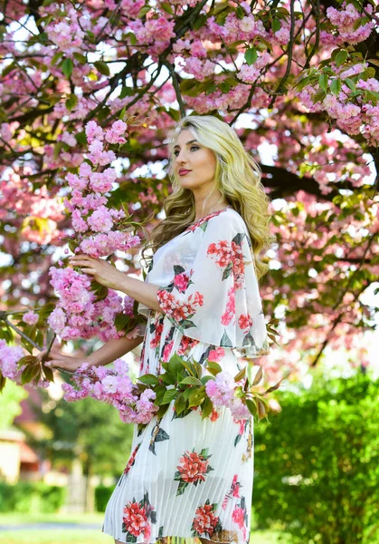 Enjoying summer rest. female flower perfume. beauty of spring nature. attractive woman with makeup. girl has long curly blonde hair. healthy beauty. pink sakura flowers. natural beauty and cosmetics