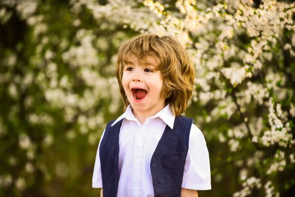 Felicidad. Muchacho excitado. Adorable jardín de primavera para niños. Día internacional de los niños. Feliz infancia. Una niña sana. Cuidado de niños. Celebra las vacaciones de verano. Boy fondo de la naturaleza. Desarrollo infantil —  Fotos de Stock