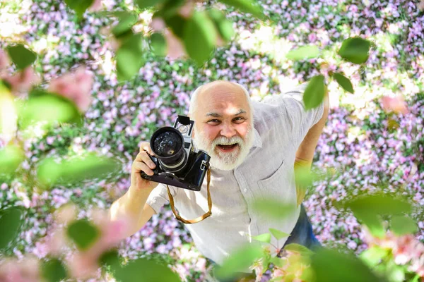 This is my best summer holiday ever. tourism and holiday. traveler camera man under sakura bloom garden. travel concept. enjoy cherry blossom. travel and walking in cherry park. hobby at retirement — Stock Photo, Image