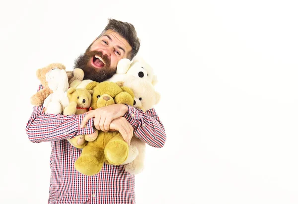 Hombre con cara feliz sostiene osos de peluche o juguetes de peluche —  Fotos de Stock