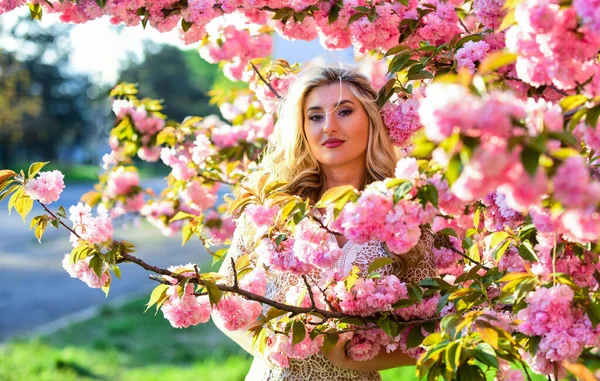 Yaz tatili. Kızın uzun kıvırcık sarı saçları var. Sağlıklı güzellik. Pembe sakura çiçekleri. Doğal güzellik ve kozmetik. Kadın çiçek parfümü. Bahar doğasının güzelliği. Makyajlı çekici kadın — Stok fotoğraf