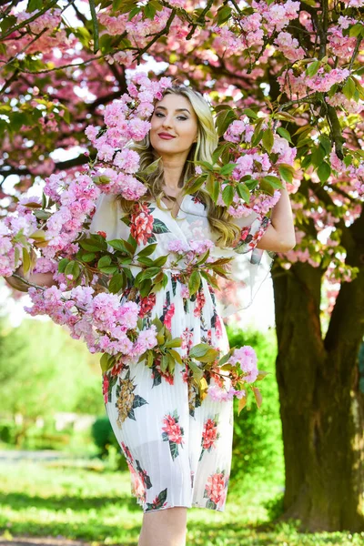 Mutlu bahar günleri. Seksi kız sakura çiçeğinin tadını çıkarıyor. Bahar çiçeği açan ağaç. Pembe kiraz ağacı çiçekleri. Çiçek aroması tedavisi. Eski ve eski moda. Saf güzellik dişisi. Tasasız ve mutlu bir kadın.