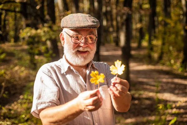 Idosos aposentados segurar folha queda. Homem velho gosta de olhar para folhagem de outono. Relaxamento e recreação. Natureza de outono. Feliz Outono. Homem envelhecido ou pensionista viajam na floresta. A velhice é alegria — Fotografia de Stock