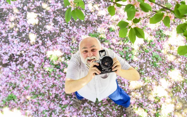 Momentos felizes. viajar e caminhar no parque de cereja. hobby na aposentadoria. turismo e férias. viajante câmera homem sob sakura flor jardim. conceito de viagem. fotógrafo masculino desfrutar flor de cereja — Fotografia de Stock