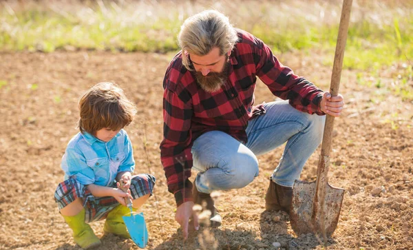 Growing plant. Father teach son to plant in soil. Bearded man and child set plant in spring. Open ground plant. Family use gardening tools. Hobby farm. Farming and agriculture