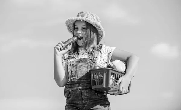 Great food. little girl vegetable in basket. Only natural. harvest vitamin. spring market garden. healthy food for children. kid on summer farm. Organic food. happy little farmer. autumn harvest — Stock Photo, Image