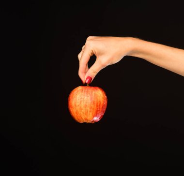 Sonbahar bahçıvanlığı fikri. Çiftçilik ve sağlıklı beslenme kavramı.