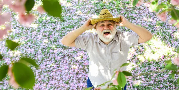 Feliz e sorridente homem idoso a olhar para cima. velho imaginando coisas boas bonitas para perceber ainda mais. homem maduro olhando para cima com esperança. homem feliz sob flor sakura primavera. sonhando acordado — Fotografia de Stock