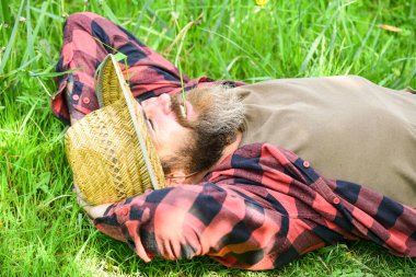 Yaz sezonu mükemmeldi. Vahşi çiftlik hippileri kareli gömlek giyer. Çiftçilik ve tarım. Hasır şapkalı rahat bir çiftçi. Yetişkin bahçıvan yeşil çimlerde rahatlar. Bahar doğasının tadını