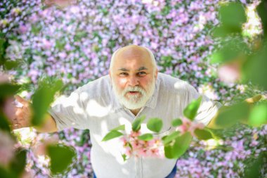 Olumlu duygular. Keyfin yerinde. Mutlu yaşlılıklar. Akıl sağlığı. Sakura ağacının altında yukarı bakan mutlu bir adam. Neşeli emekliler. Mutlu gülümseyen büyükbaba yukarı bakıyor. Doğayla bütünleşti. Hayattan zevk alan adam