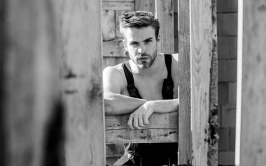 Çaresizlik içindeki marangoz. Çekiç aletli mühendis. Mimar tamir ve onarım. Bina ve inşaat. Profesyonel tamirci şapkası. İş kıyafetleri içinde bir erkek müteahhit. seksi işçi