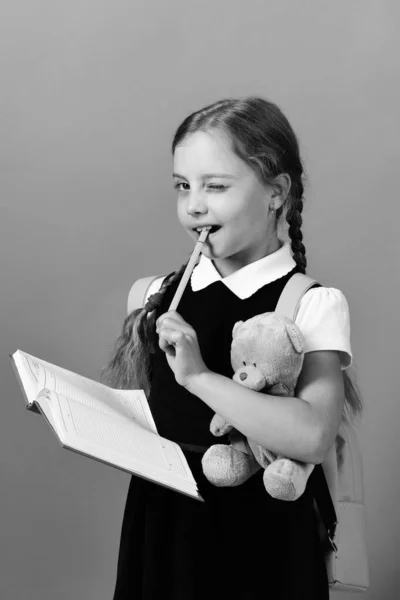 Back to school and education concept. Girl holds teddy bear — Stock Photo, Image