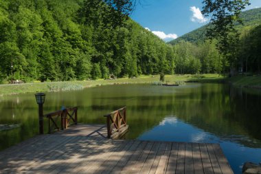 Fenerli ahşap iskele ve yeşil ağaçların arasında gölde feribot. Karpatyalı.