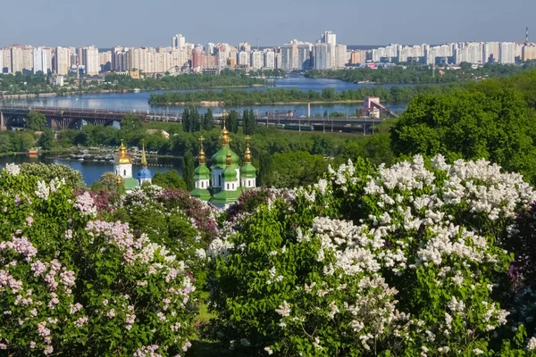 Bloeiende Lila Achtergrond Van Het Klooster Vydubytsky Rivier Dnjepr Kiev — Stockfoto