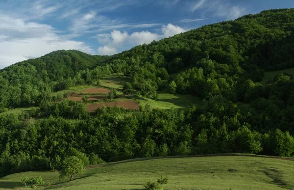 Vertes Flancs Montagne Avec Des Arbres Potager Sous Ciel Nuageux — Photo