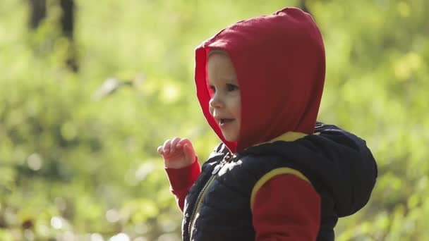 Cute little boy figlarnie złapać bańki mydlane pływające z szczęśliwym dzieckiem. Szczęśliwy mały chłopiec zabawnie łapanie baniek mydlanych. — Wideo stockowe