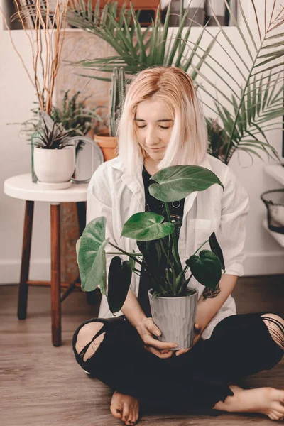 Home plant mama. Evergreen apartment living. Plant parents. Crazy plant lady. Succulent, cactus, Boston fern, palm tree, monstera. Bohemian style living room. Authentic living. Selected focus
