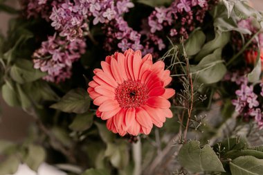 Güzel bahar çiçeği buketi. Leylaklar, papatyalar, paskalya çiçekleri. Yeşil yapraklar. Beyaz, leylak, mor, pembe renkler. Vazodaki muhteşem çiçekler. Bahar havası. Yaz buketi. Küçük ve büyük patentler.