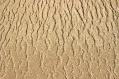 Kumsalda sarı baskılı kum. Kum dokusu Rüzgarı
