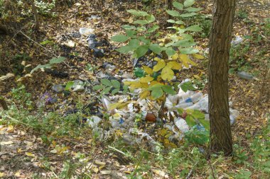 İnsanlar dinlendikten sonra ormana çöp yığını bırakmışlar. 